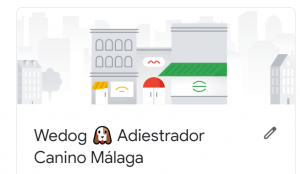 seo local